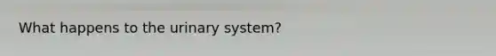 What happens to the urinary system?