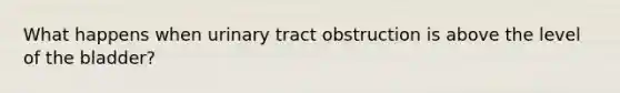 What happens when urinary tract obstruction is above the level of the bladder?