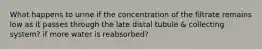 What happens to urine if the concentration of the filtrate remains low as it passes through the late distal tubule & collecting system? if more water is reabsorbed?