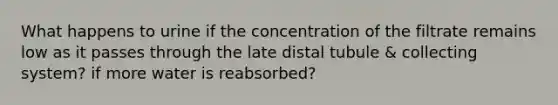 What happens to urine if the concentration of the filtrate remains low as it passes through the late distal tubule & collecting system? if more water is reabsorbed?