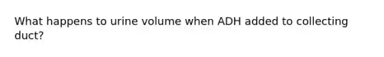 What happens to urine volume when ADH added to collecting duct?