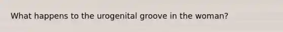 What happens to the urogenital groove in the woman?