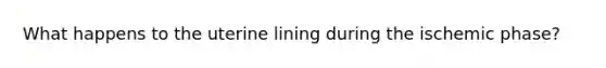 What happens to the uterine lining during the ischemic phase?