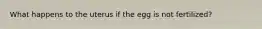 What happens to the uterus if the egg is not fertilized?