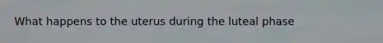 What happens to the uterus during the luteal phase
