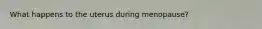 What happens to the uterus during menopause?