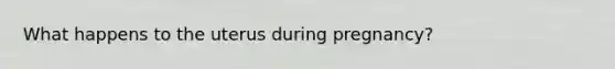What happens to the uterus during pregnancy?