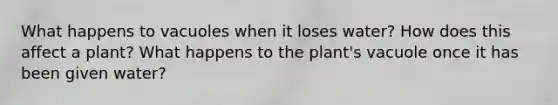 What happens to vacuoles when it loses water? How does this affect a plant? What happens to the plant's vacuole once it has been given water?