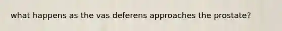 what happens as the vas deferens approaches the prostate?