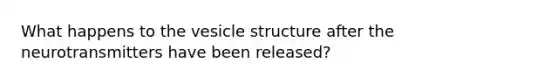 What happens to the vesicle structure after the neurotransmitters have been released?