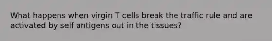 What happens when virgin T cells break the traffic rule and are activated by self antigens out in the tissues?