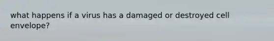 what happens if a virus has a damaged or destroyed cell envelope?