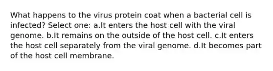 What happens to the virus protein coat when a bacterial cell is infected? Select one: a.It enters the host cell with the viral genome. b.It remains on the outside of the host cell. c.It enters the host cell separately from the viral genome. d.It becomes part of the host cell membrane.