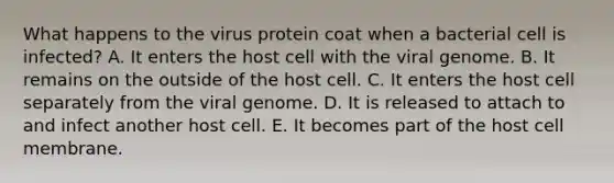 What happens to the virus protein coat when a bacterial cell is infected? A. It enters the host cell with the viral genome. B. It remains on the outside of the host cell. C. It enters the host cell separately from the viral genome. D. It is released to attach to and infect another host cell. E. It becomes part of the host cell membrane.