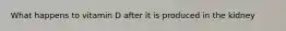 What happens to vitamin D after it is produced in the kidney