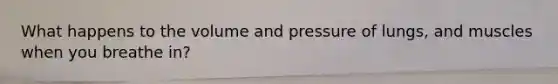 What happens to the volume and pressure of lungs, and muscles when you breathe in?