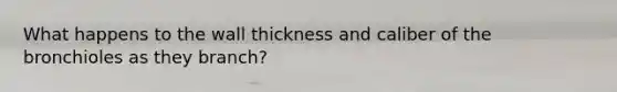 What happens to the wall thickness and caliber of the bronchioles as they branch?