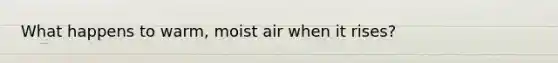 What happens to warm, moist air when it rises?