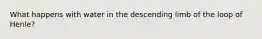 What happens with water in the descending limb of the loop of Henle?