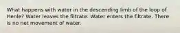 What happens with water in the descending limb of the loop of Henle? Water leaves the filtrate. Water enters the filtrate. There is no net movement of water.