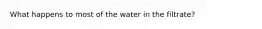 What happens to most of the water in the filtrate?