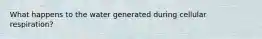 What happens to the water generated during cellular respiration?