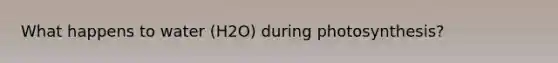 What happens to water (H2O) during photosynthesis?