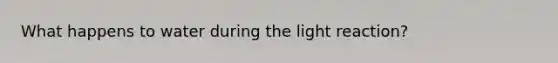 What happens to water during the light reaction?