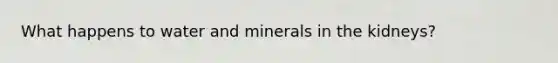 What happens to water and minerals in the kidneys?