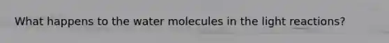 What happens to the water molecules in the light reactions?