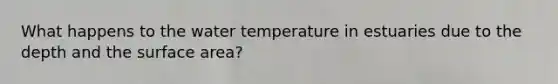 What happens to the water temperature in estuaries due to the depth and the <a href='https://www.questionai.com/knowledge/kEtsSAPENL-surface-area' class='anchor-knowledge'>surface area</a>?