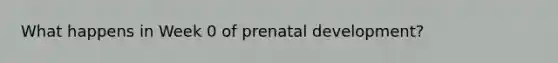 What happens in Week 0 of prenatal development?