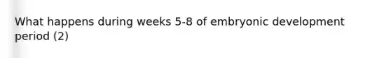 What happens during weeks 5-8 of embryonic development period (2)