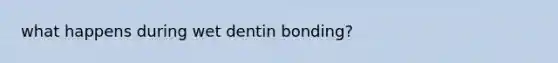 what happens during wet dentin bonding?