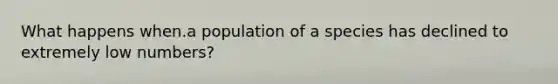 What happens when.a population of a species has declined to extremely low numbers?