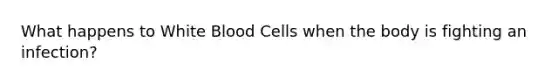 What happens to White Blood Cells when the body is fighting an infection?