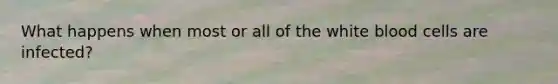 What happens when most or all of the white blood cells are infected?