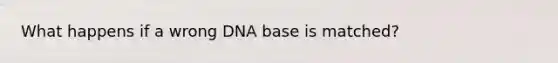 What happens if a wrong DNA base is matched?