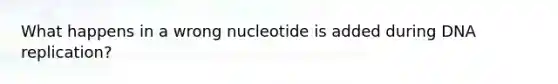 What happens in a wrong nucleotide is added during DNA replication?