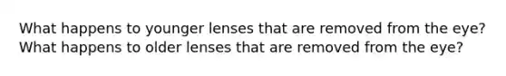 What happens to younger lenses that are removed from the eye? What happens to older lenses that are removed from the eye?