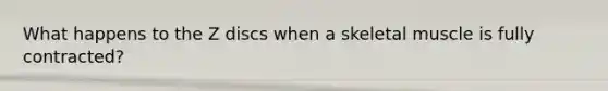What happens to the Z discs when a skeletal muscle is fully contracted?