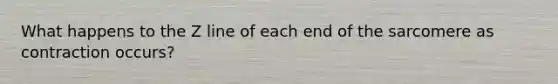 What happens to the Z line of each end of the sarcomere as contraction occurs?