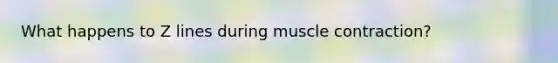 What happens to Z lines during muscle contraction?