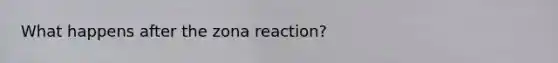 What happens after the zona reaction?