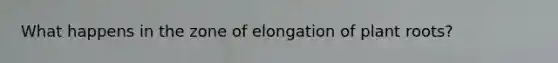 What happens in the zone of elongation of plant roots?