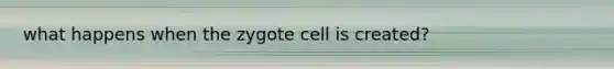 what happens when the zygote cell is created?