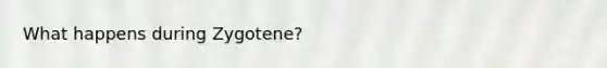 What happens during Zygotene?