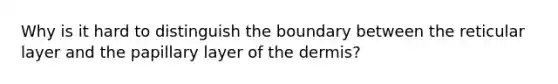Why is it hard to distinguish the boundary between the reticular layer and the papillary layer of the dermis?