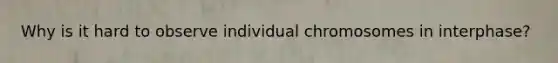 Why is it hard to observe individual chromosomes in interphase?