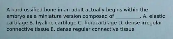 A hard ossified bone in an adult actually begins within the embryo as a miniature version composed of __________. A. elastic cartilage B. hyaline cartilage C. fibrocartilage D. dense irregular connective tissue E. dense regular connective tissue